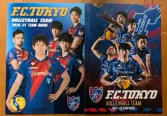 Item thumbnail for item dc4c4618-bcd8-4f7d-acaf-eccc05fcb607