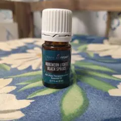 値下げ ヤングリビング ノーザンライツ ブラックスプルース 5ml