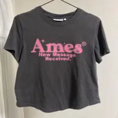 韓国 Ames Worldwide Tシャツ チャコール F