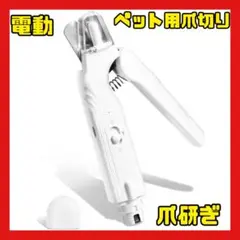 Item thumbnail for item 8d278f46-fe17-4d25-b7cf-23543ac11b70