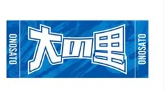 値下げ【期間限定品】大相撲　横綱　大の里　応援タオル