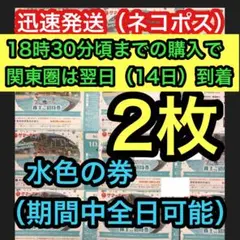 サマーランド 2枚