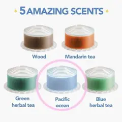 Item thumbnail for item 246b596f-a197-4bcb-a72a-de042e60ef55