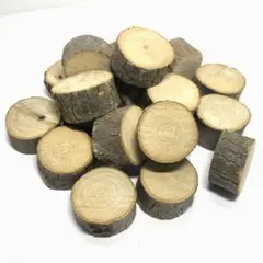 Item thumbnail for item 3ba16b56-56e6-4cbe-a43b-27dfecaad6dd