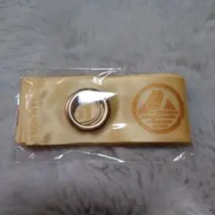 Item thumbnail for item db63cd56-1c9c-408b-bb5f-43acf7503f64