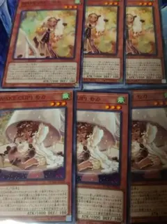 遊戯王　マキ　モカ　3枚ずつセット