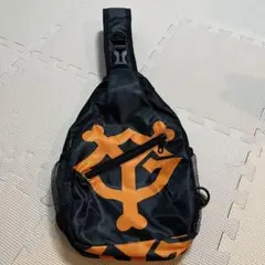 Item thumbnail for item 11f66760-4dbb-4f75-8983-632ba6e8e7f5