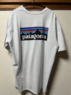 パタゴニア　Tシャツ　サイズL