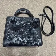 クリスチャンディオール バッグ