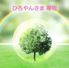 ひろやん様 リクエスト 3点 まとめ商品