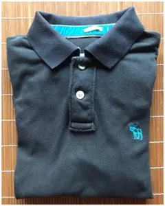 Abercrombie & Fitch ダメージ ポロシャツ L グレー系