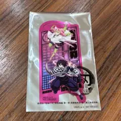 鬼滅の刃 劇場版 無限城 入場者特典 クリアカード　伊黒小芭内 甘露寺蜜璃