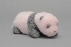 ★新品★抱っこシャンシャン かまってシャンシャン ぬいぐるみ 21点セット シャンシャン3歳記念オリジナル商品販売「第5弾」のお知らせ