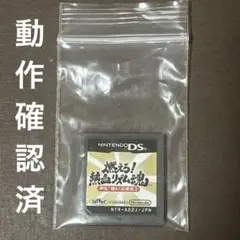 燃えろ!熱血リズム魂! 押忍!闘え!応援団 2