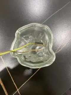 Item thumbnail for item 95c25bb6-971b-4027-8706-bf30197e67f1