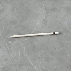 【ジャンク品】Apple Pencil（第1世代）充電不可