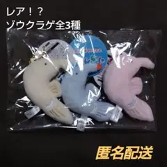 【未使用】ゾウクラゲ マスコット ぬいぐるみ コンプリートセット レア
