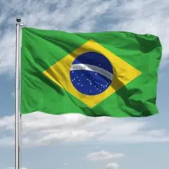 ブラジル 国旗 フラッグ 応援 150cm flag 旗 サッカー インテリア