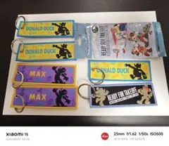 ディズニーシーREADY FOR TAKEOFF キーチェーン シークレット 有