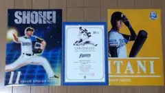 【希少】大谷翔平 プロ初登板試合観戦証明書
