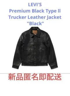 Item thumbnail for item 002732f5-32d7-40b1-91ed-46213090160a