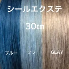 シールエクステ ショートメッシュ　ロングストレート