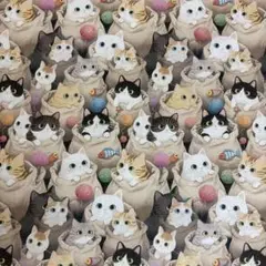 1M 新柄　猫　袋　ネコ20番シーチングプリント生地布地再入荷