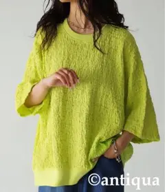 美品 antiqua ふくれジャガードカットソー