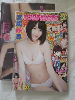 ヤングチャンピオン2015年11月24日 23号 宮脇咲良 未開封未使用