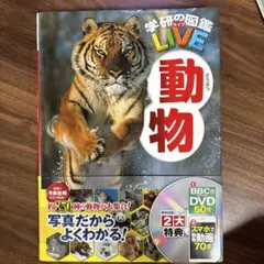 動物　学研の図鑑LIVE