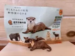 はしもとみおの彫刻　動物園のなかま　コツメカワウソ