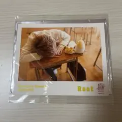 るぅと ポラ風ブロマイド おみくじ付き