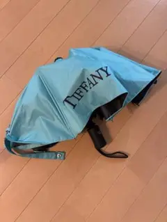 Item thumbnail for item df80f3f5-d057-4d85-958c-560d5ed6c6db