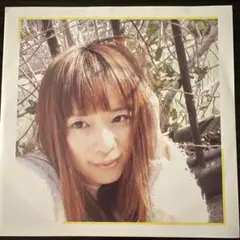 2025年最新】川本真琴 lpの人気アイテム - メルカリ
