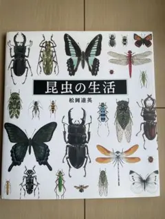 昆虫の生活