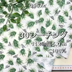 NO,0557 112cm幅 5.0m 綿30シーチング　アロエ柄