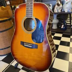 ARIA ドレッドノート　ADW300 eBay 出品予定物: Aria Dreadnought ADW-300 Flattop Acoustic