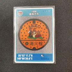 【匿名配送】我孫子B マンホールカード　②