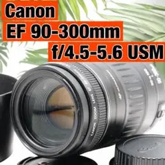 Item thumbnail for item d7256598-c26d-4419-be16-1e27f0d9e457