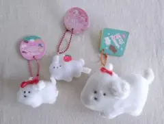 つぶらな瞳の犬と猫 まるちーず＆つぶらな瞳のいちごフェア うさぎ