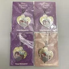 ディズニーランド　非売品 デイジーチャーム　プリンセスデイズ