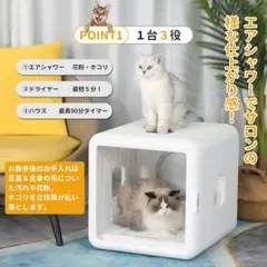 Item thumbnail for item ffd21aed-d3b5-46c4-ac2f-c5de039eaf42