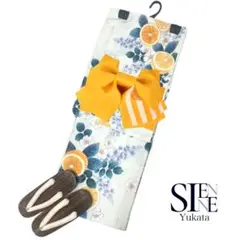 Item thumbnail for item 3527db22-81ee-46e0-a1a1-2c6c75563023