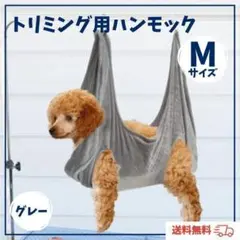Item thumbnail for item f8f5bc23-e9a9-4f2d-9734-acd13533f1f4
