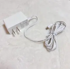 電源アダプター 充電器 5V 2A 1.8m Micro type B