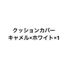 専用