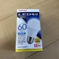 電球 60W E26口金