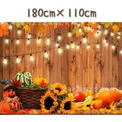 Item thumbnail for item f1a820f6-3403-481b-8b0f-638fbd131018