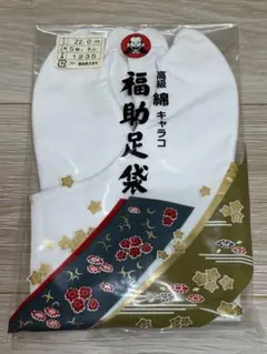 Item thumbnail for item 779f5d4f-496b-48d8-aaf4-a251b6eb5d6c