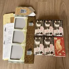 Item thumbnail for item 575d581a-2ba5-467d-9c99-9364c17899c9